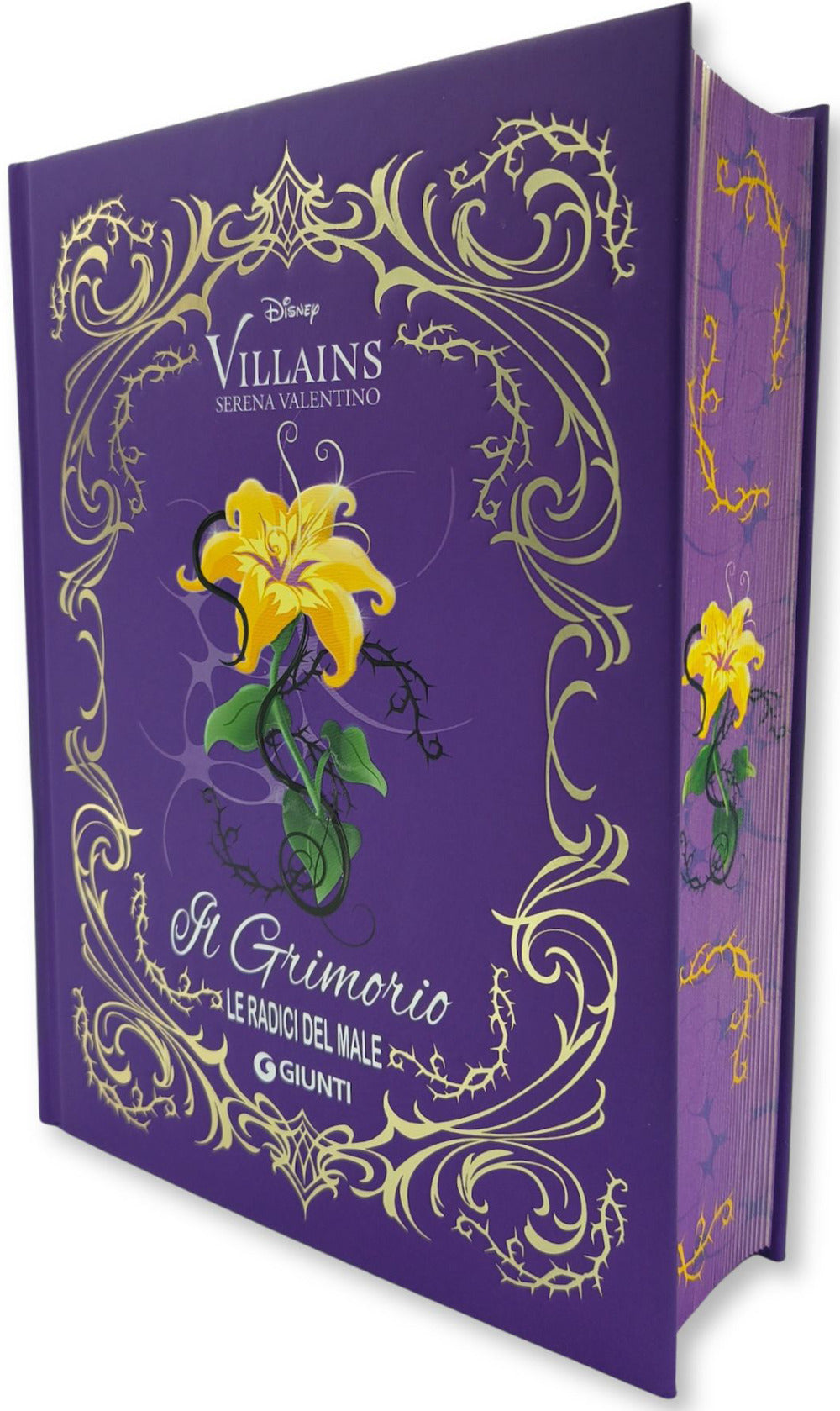 Copertina del libro GRIMORIO LE RADICI DEL MALE DISNEY VILLA