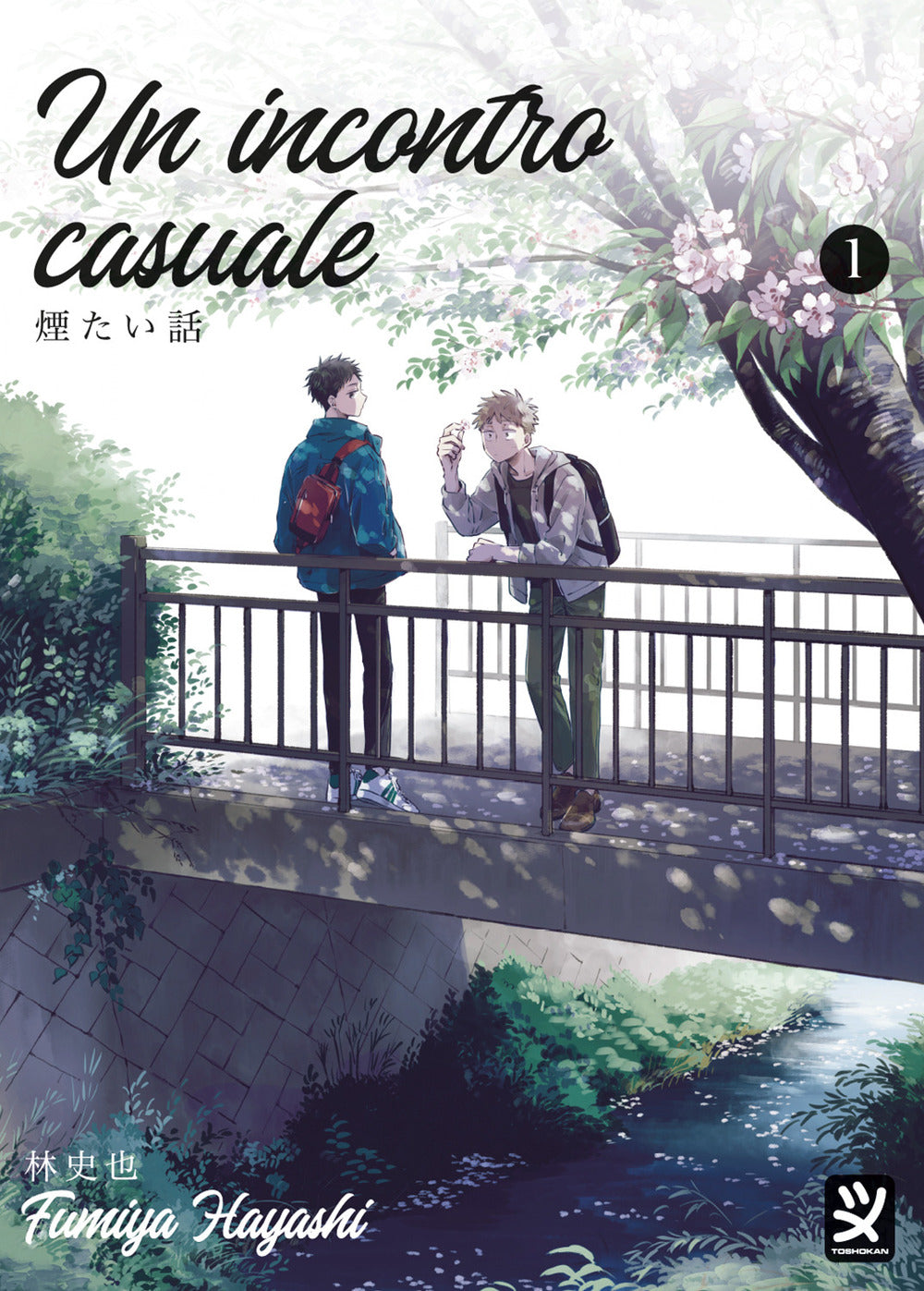 Copertina del libro UN INCONTRO CASUALE VOL. 1