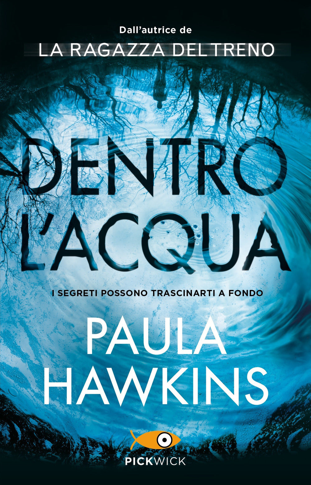 Copertina del libro DENTRO L'ACQUA