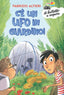 Copertina del libro C'E' UN UFO IN GIARDINO!