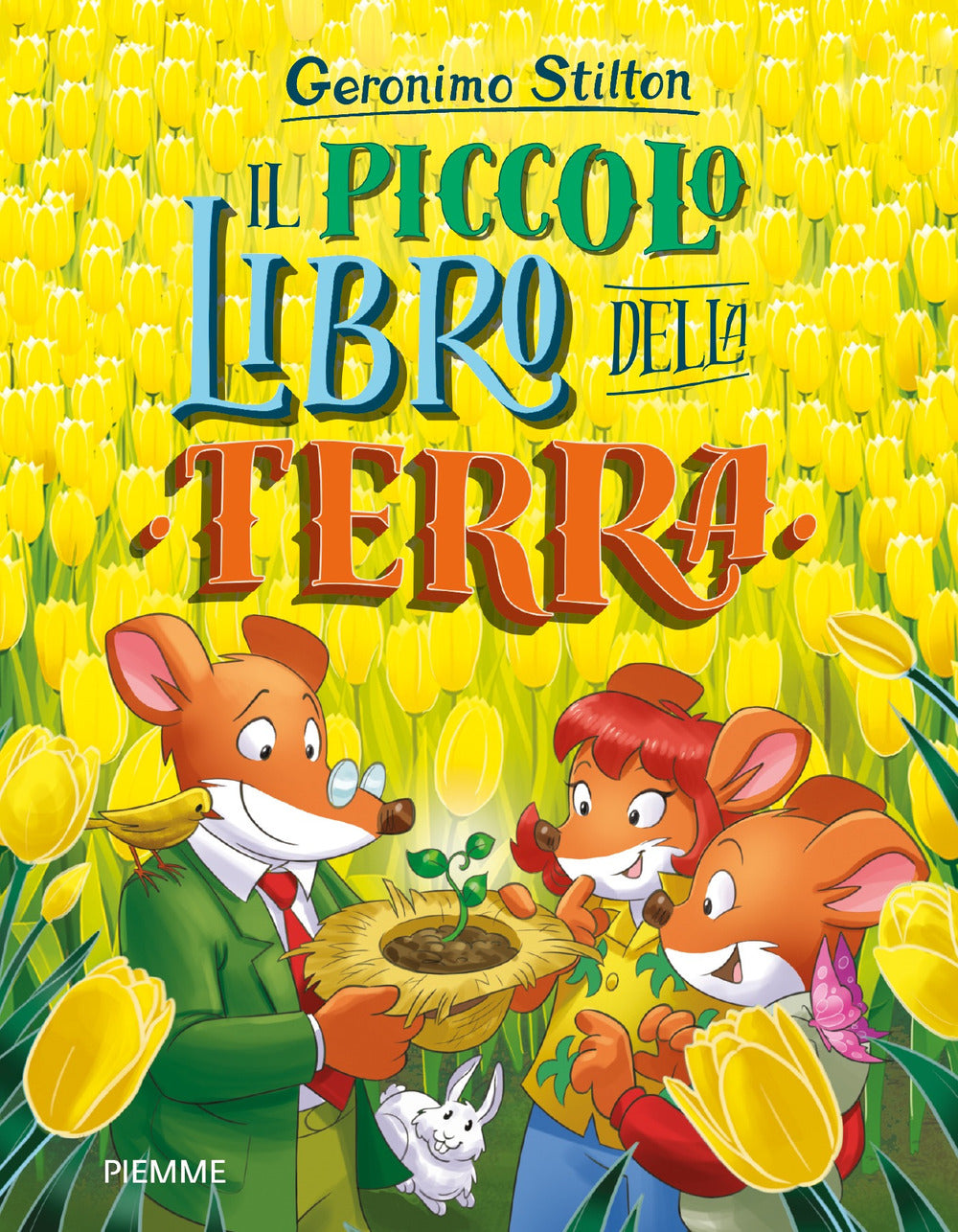 Copertina del libro IL PICCOLO LIBRO DELLA TERRA