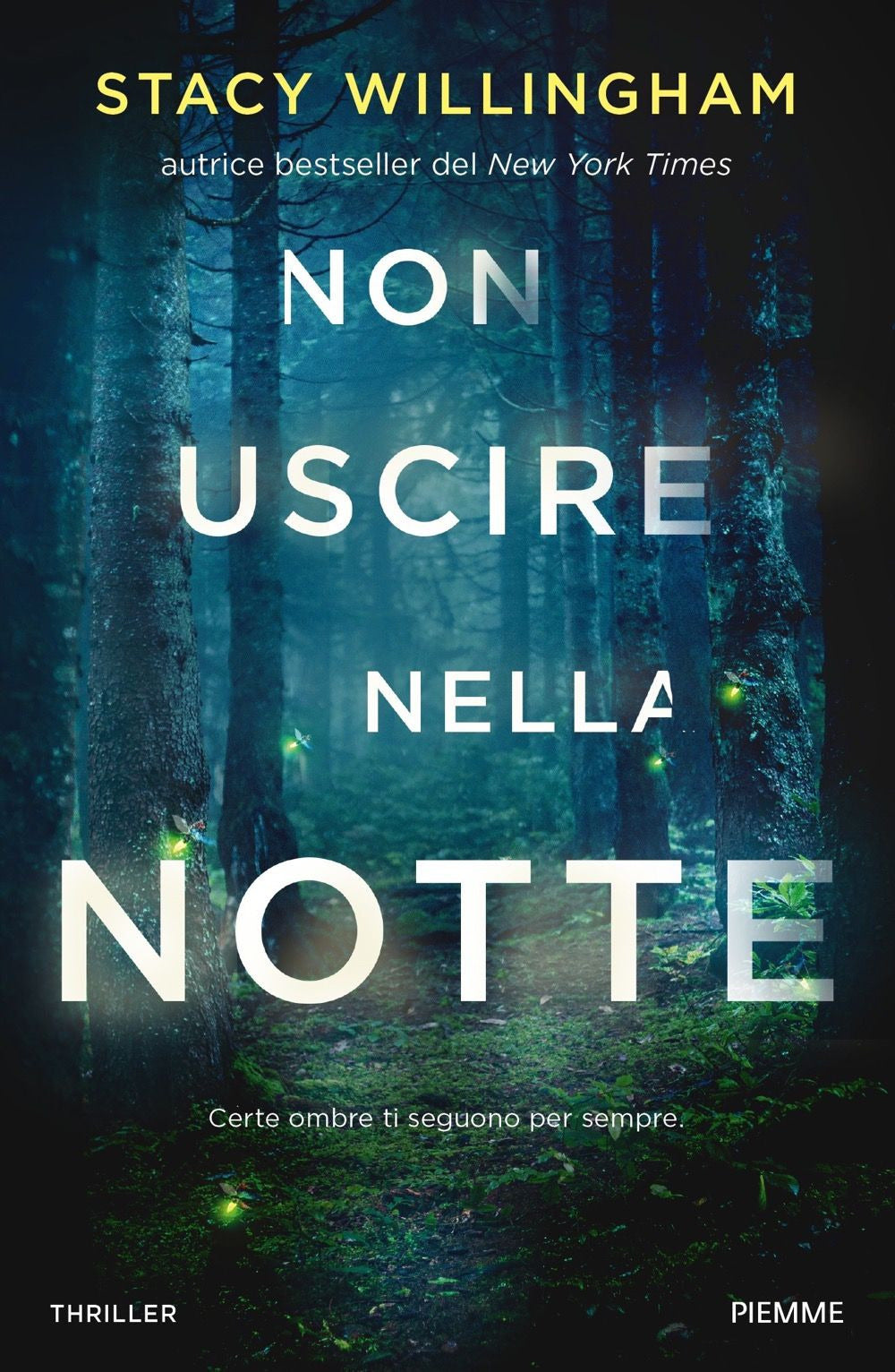 Copertina del libro NON USCIRE NELLA NOTTE