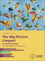 Copertina del libro THE BIG PICTURE COMPACT