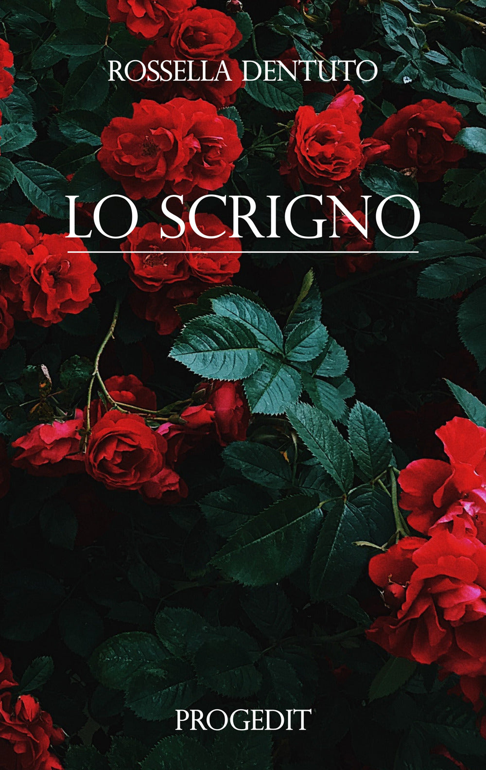 Copertina del libro LO SCRIGNO