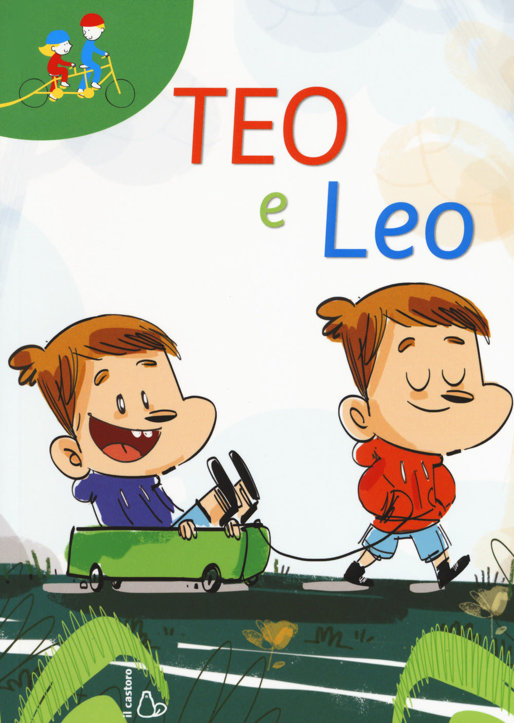 Copertina del libro TEO E LEO. GEMELLI QUASI UGUALI
