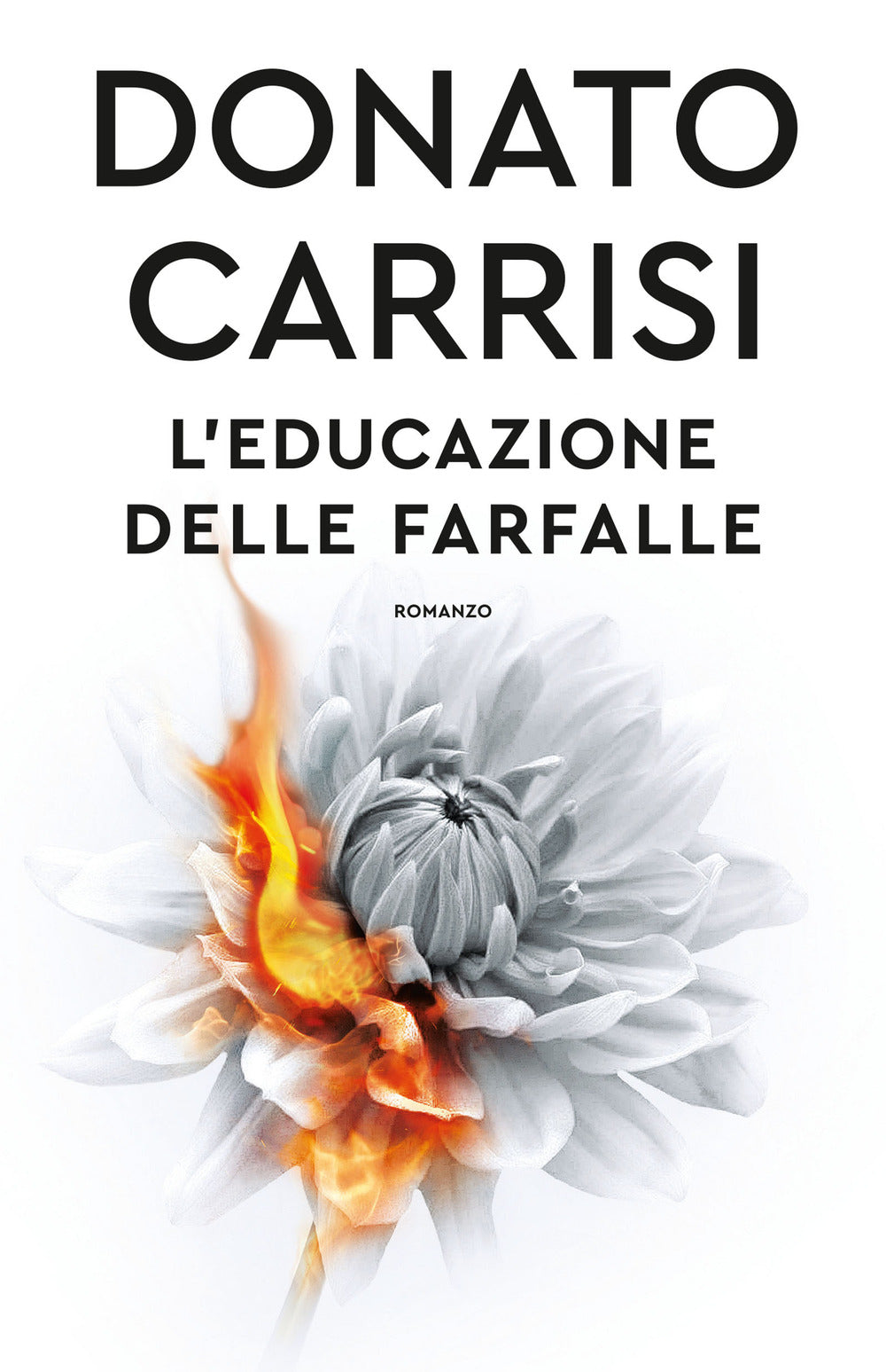 Copertina del libro L'EDUCAZIONE DELLE FARFALLE Immagine principale del prodotto
