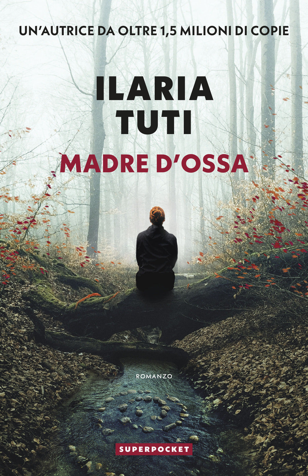 Copertina del libro MADRE D'OSSA Immagine principale del prodotto