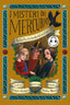 Copertina del libro RAFFAELLO E LA BANDA DEL MULINO. I MISTE