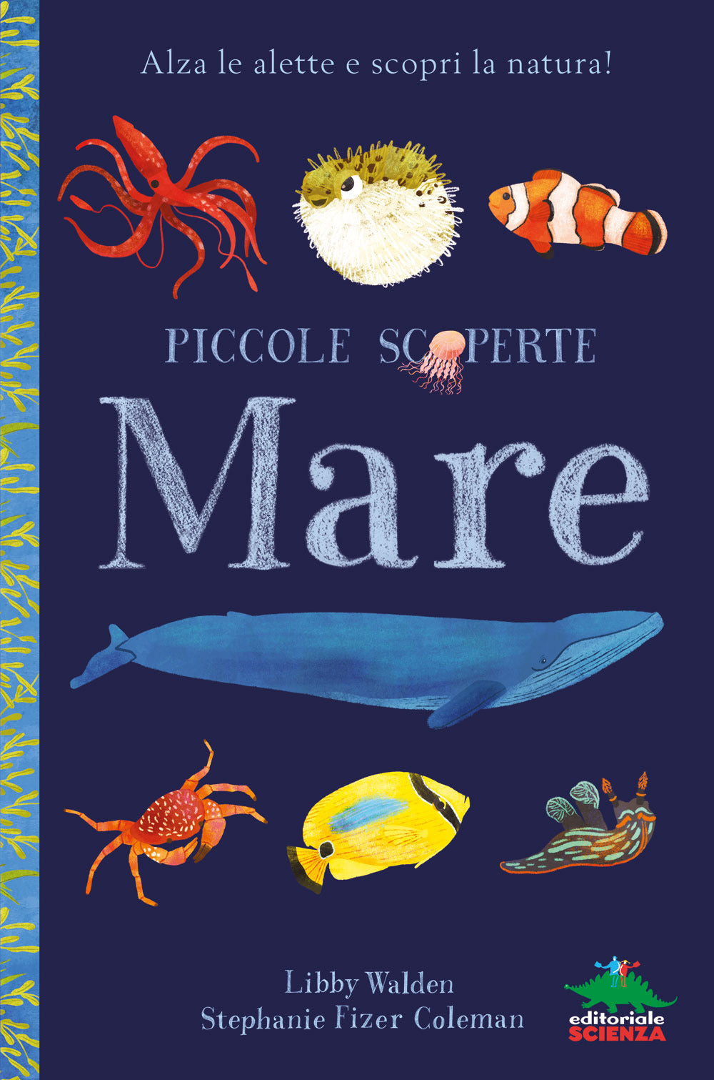 Copertina del libro MARE