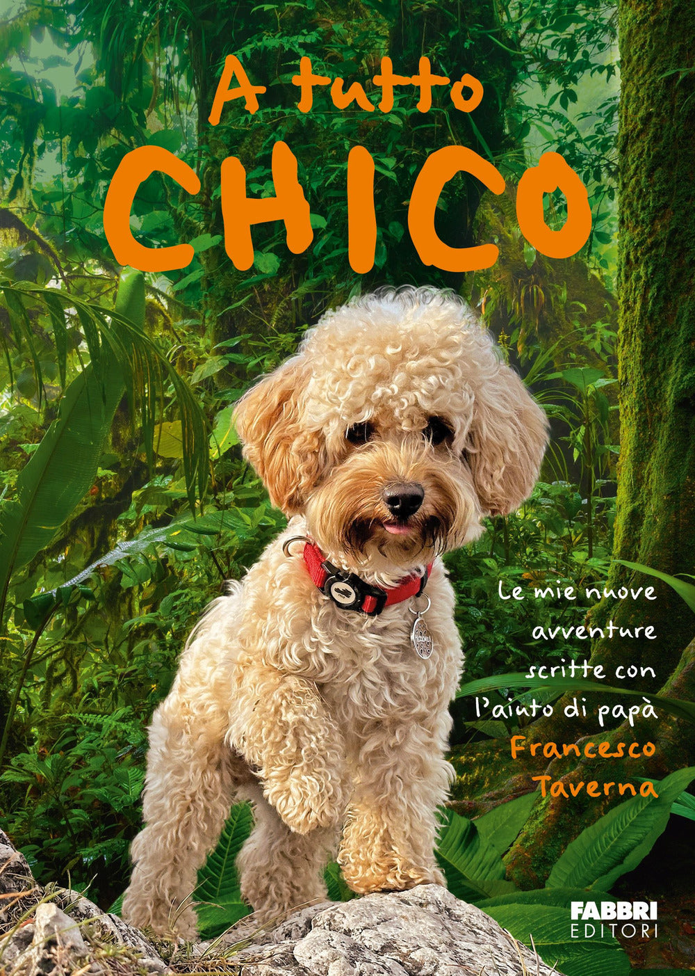 Copertina del libro A TUTTO CHICO