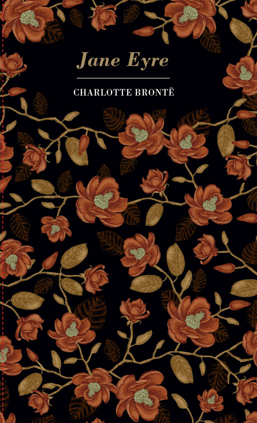Copertina del libro JANE EYRE