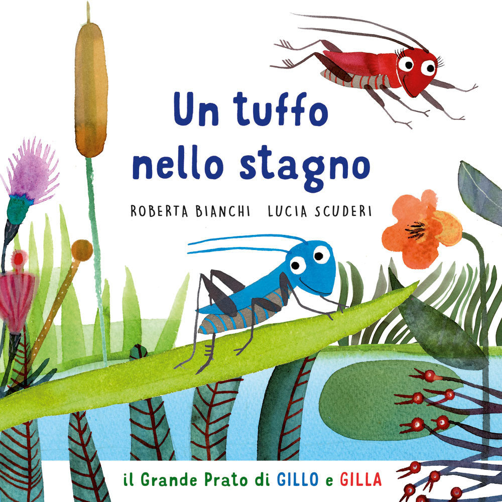 Copertina del libro UN TUFFO NELLO STAGNO