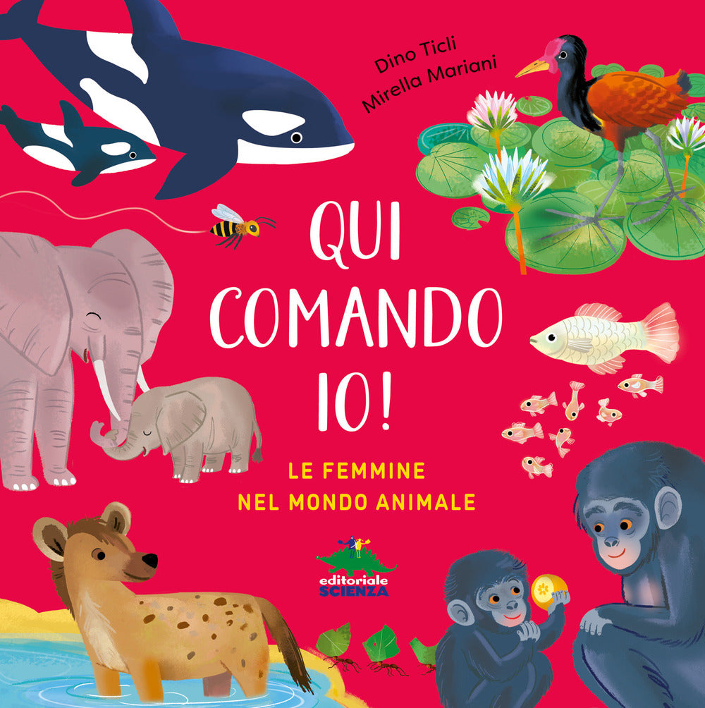 Copertina del libro QUI COMANDO IO!