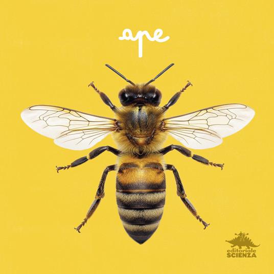 Copertina del libro APE Immagine principale del prodotto