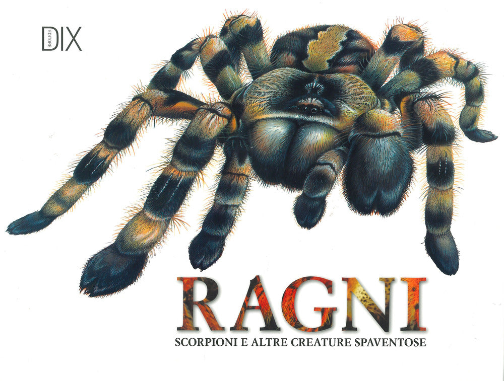 Copertina del libro RAGNI Immagine principale del prodotto