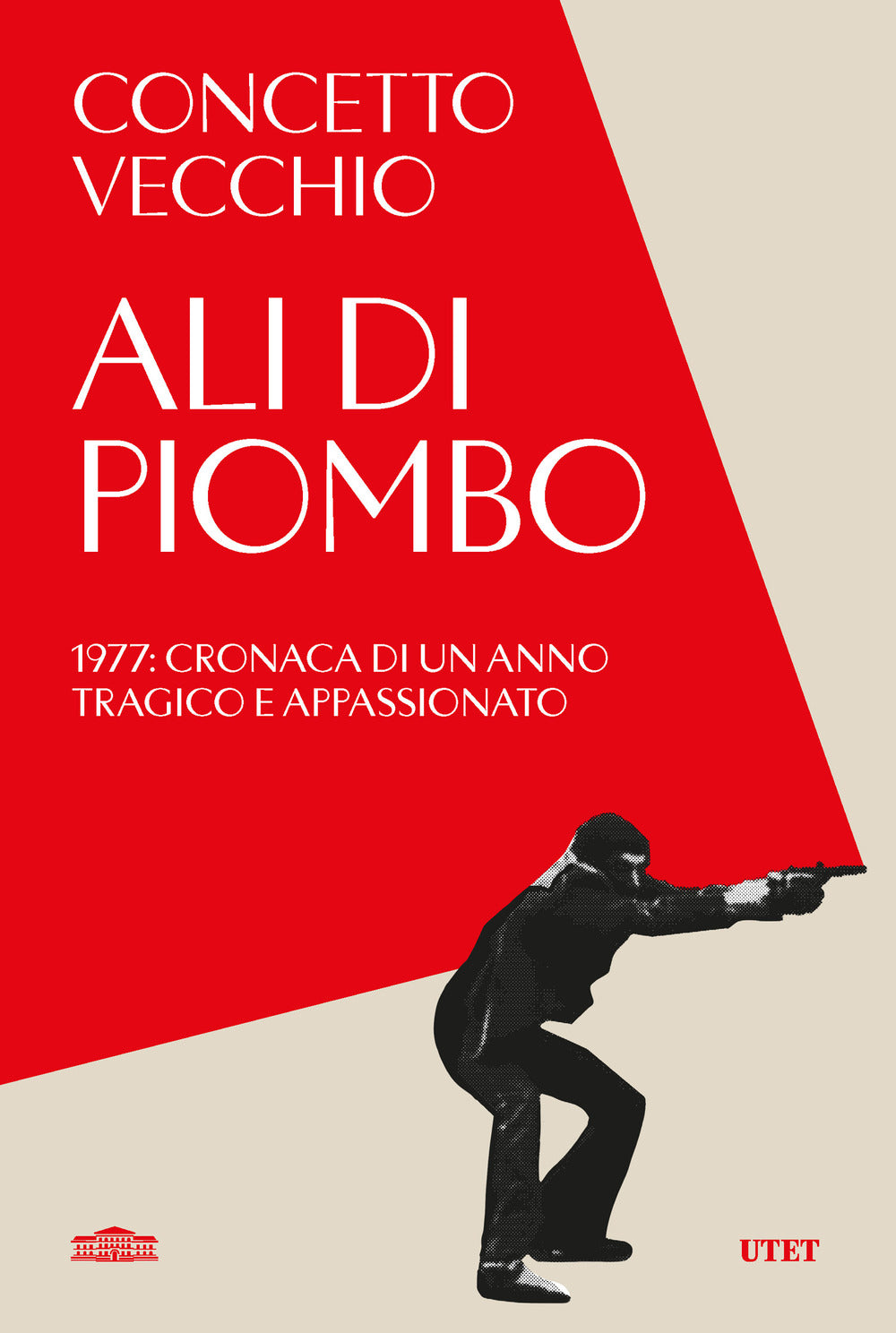 Copertina del libro ALI DI PIOMBO