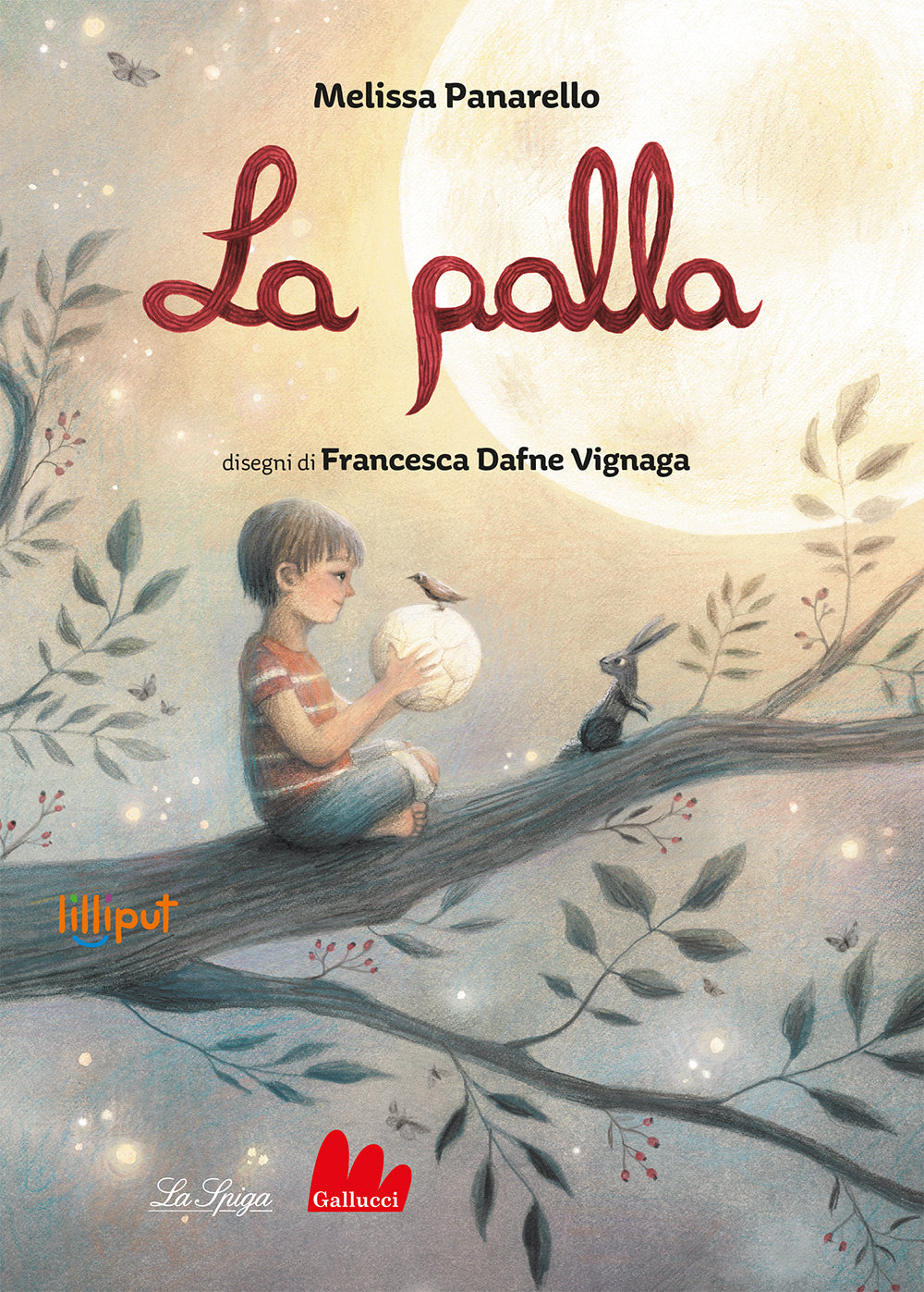 Copertina del libro LA PALLA