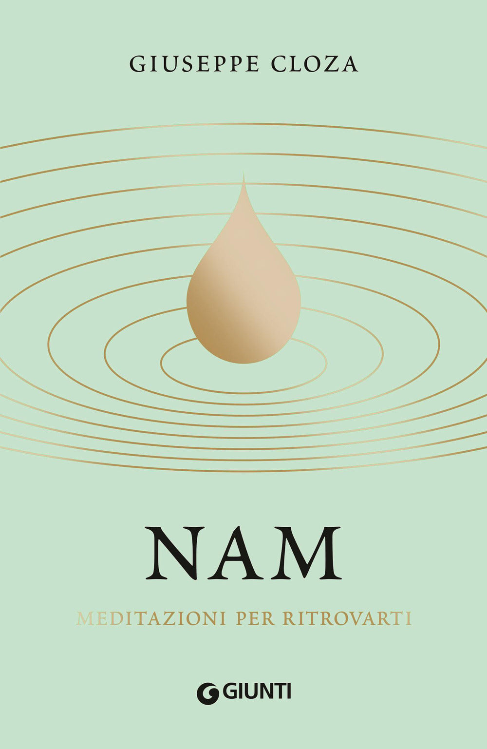 Copertina del libro NAM