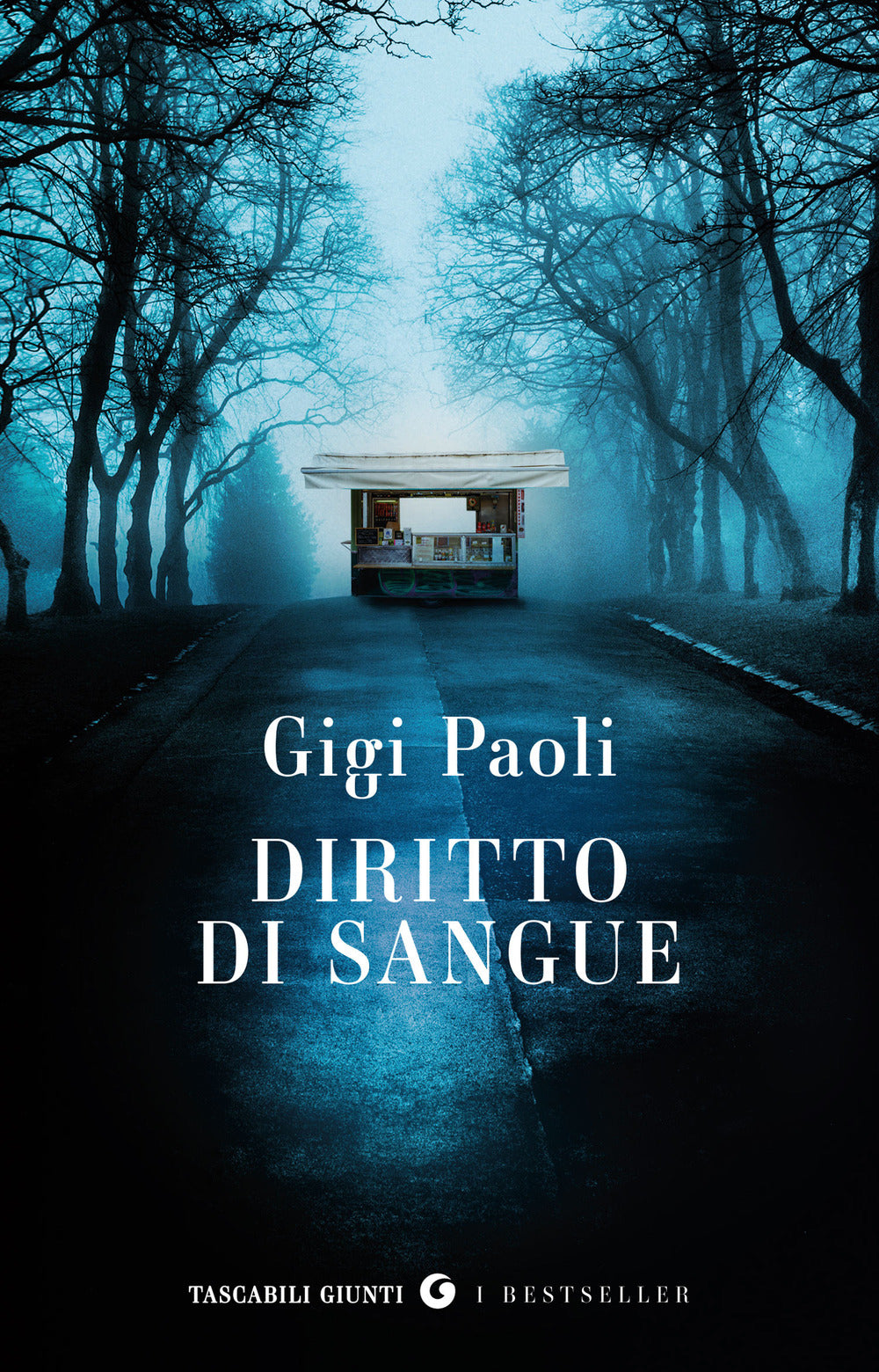 Copertina del libro DIRITTO DI SANGUE Immagine principale del prodotto
