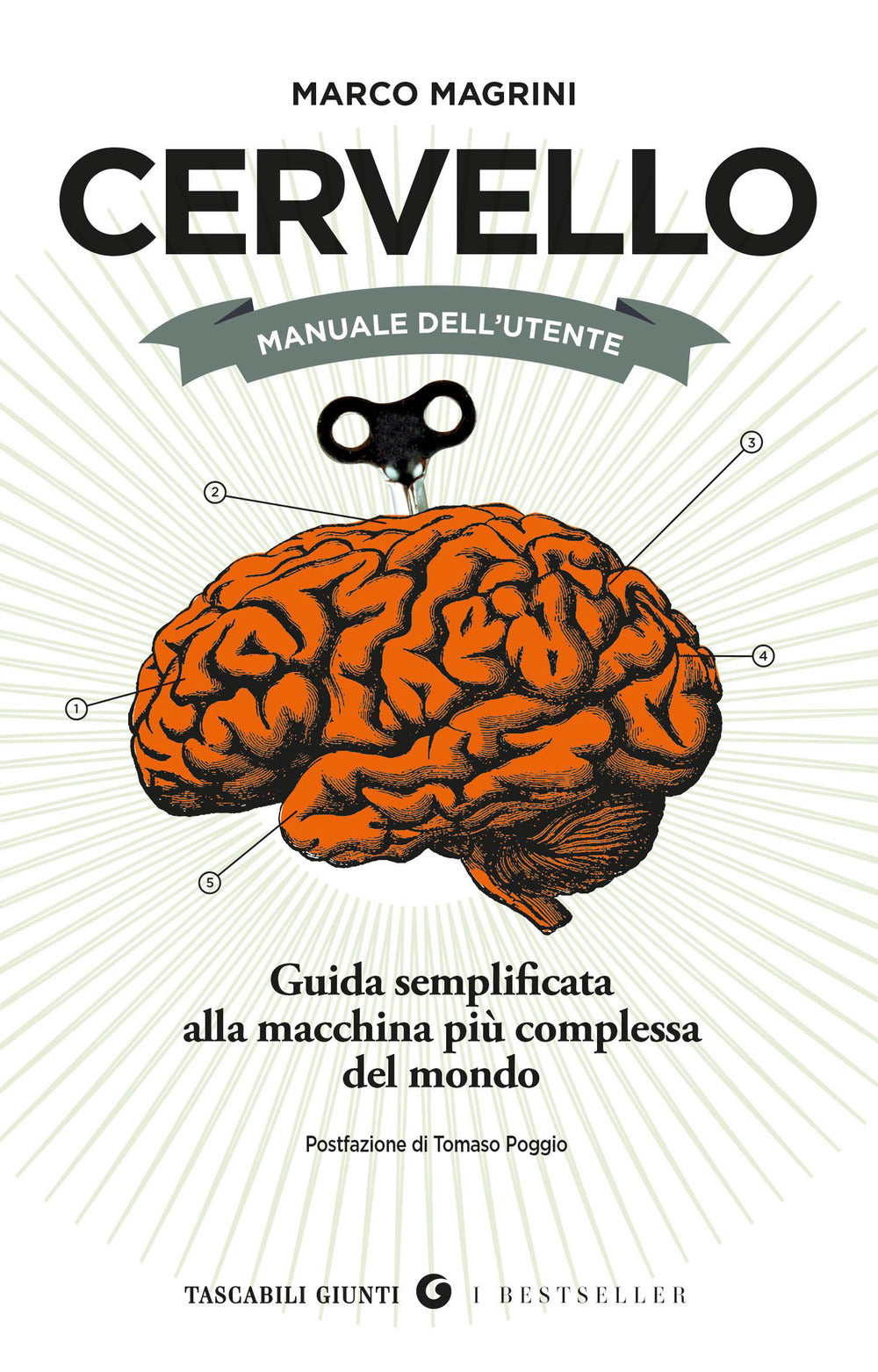 Copertina del libro CERVELLO. MANUALE DELL'UTENTE