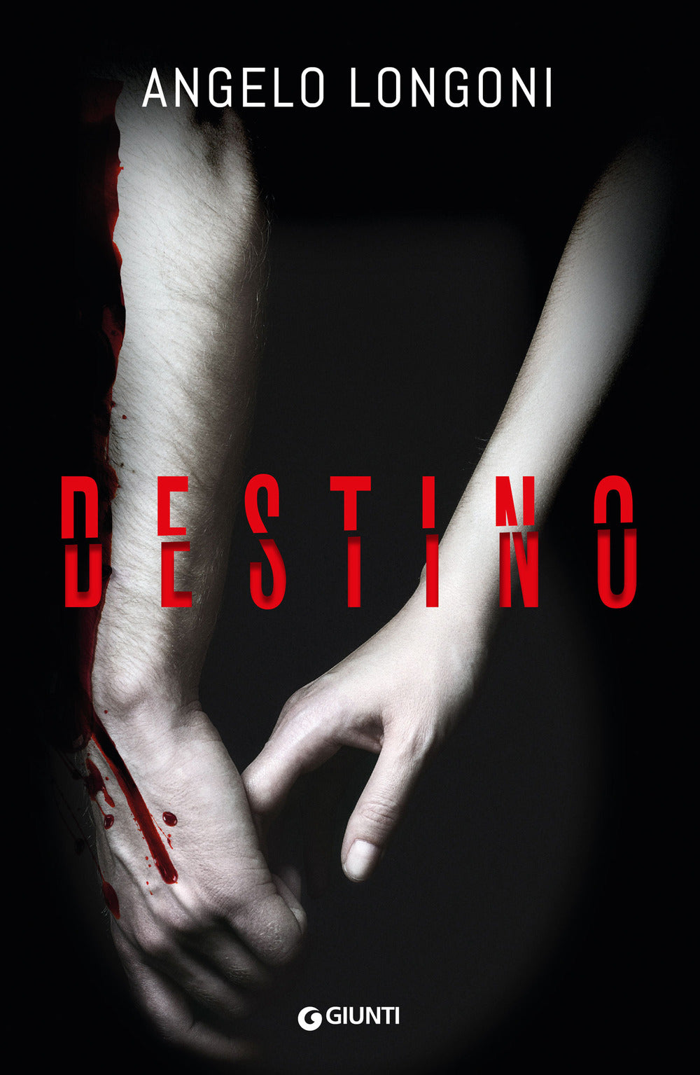 Copertina del libro DESTINO