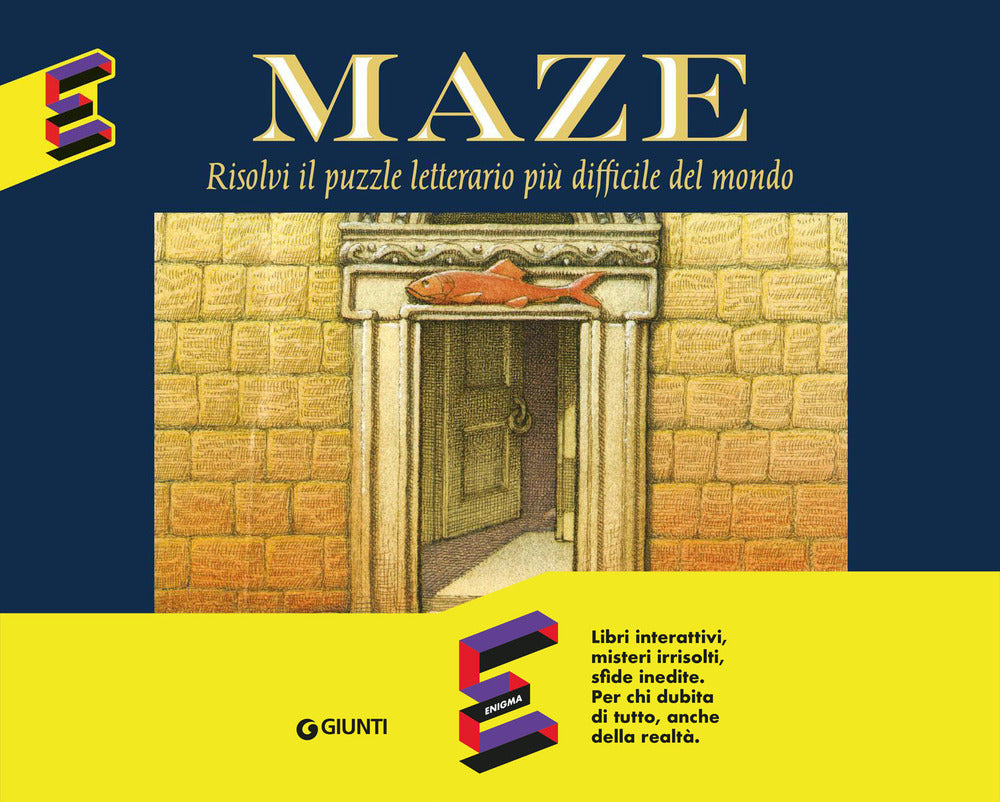 Copertina del libro MAZE