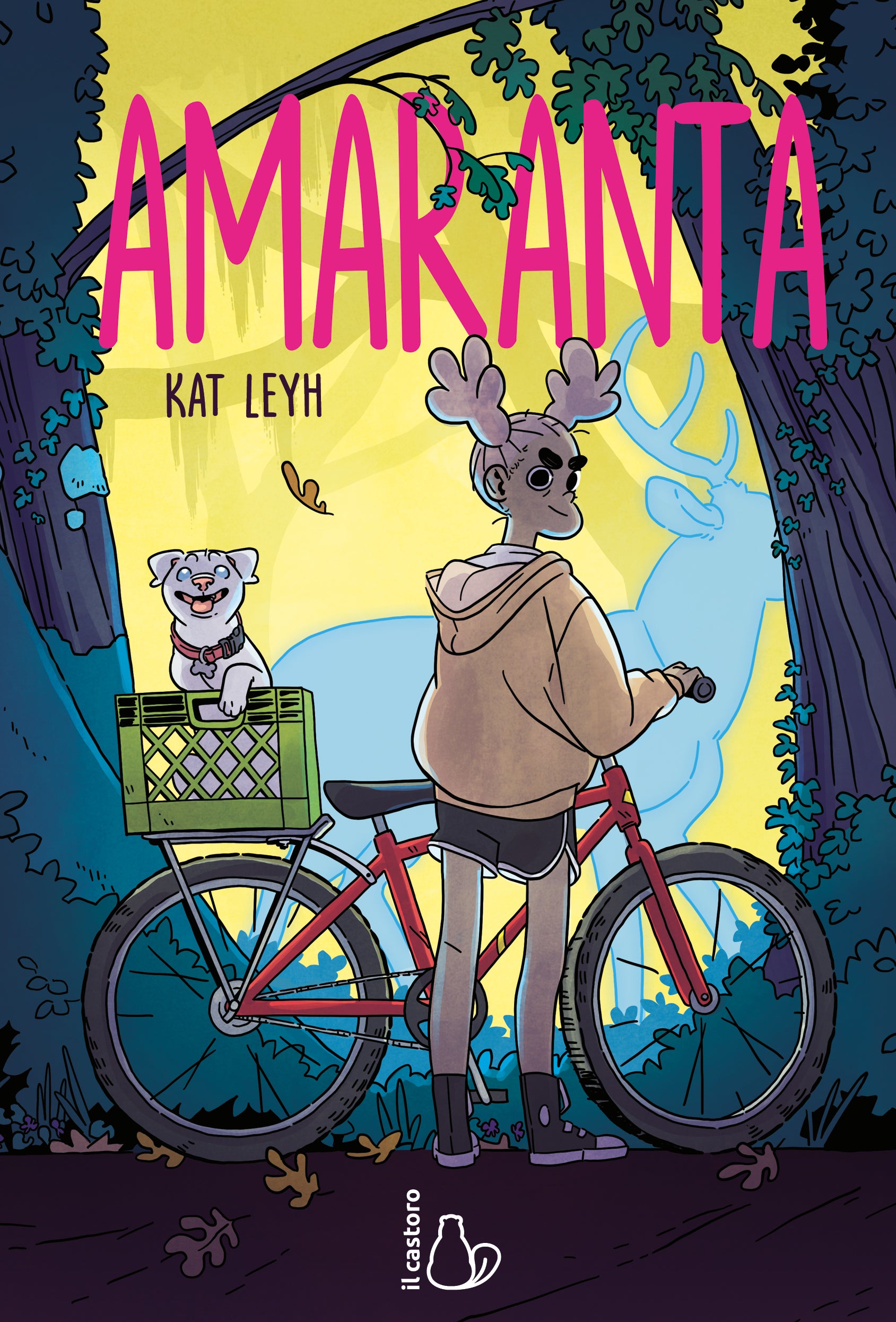 Copertina del libro AMARANTA