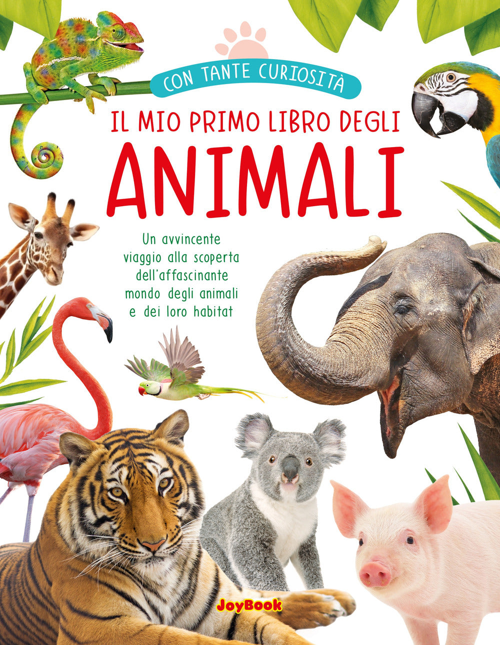 Copertina del libro MIO PRIMO LIBRO DEGLI ANIMALI, IL