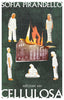 Copertina del libro CELLULOSA