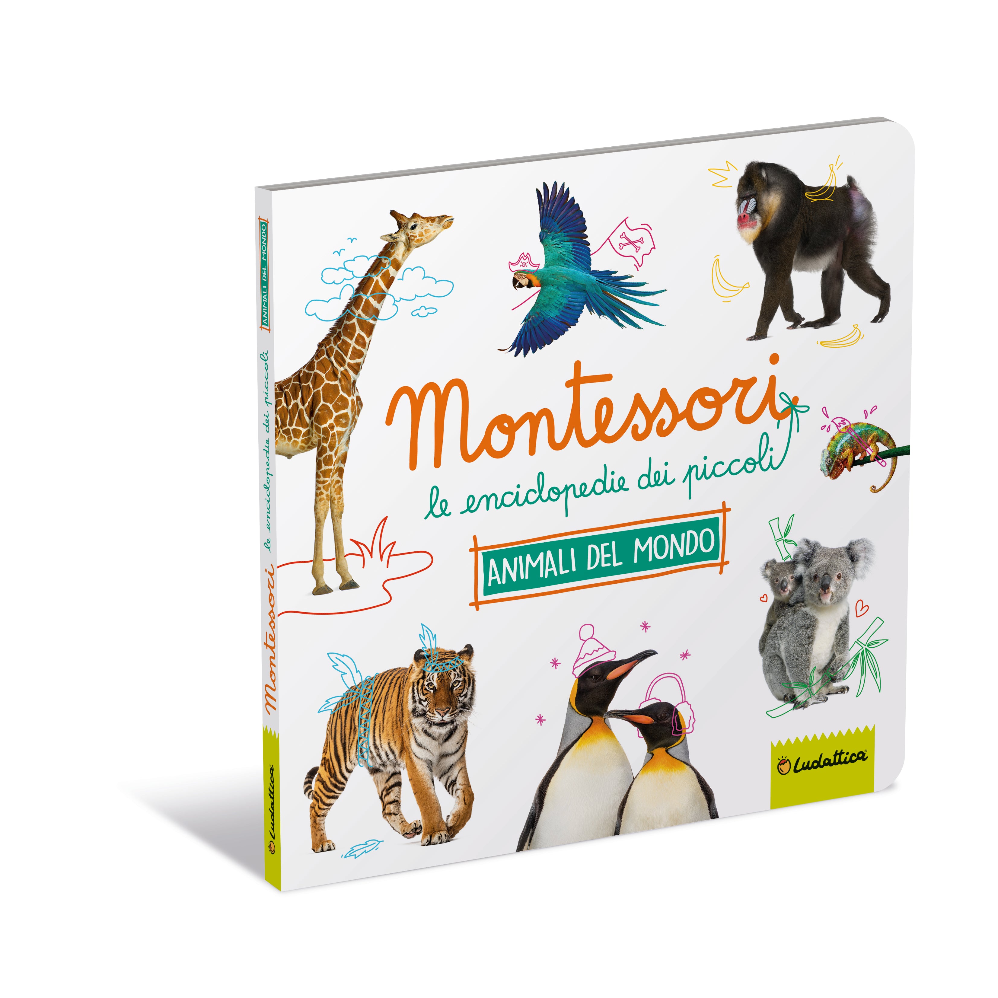 Copertina del libro ANIMALI DA TUTTO IL MONDO. MONTESSORI - Immagine principale del prodotto