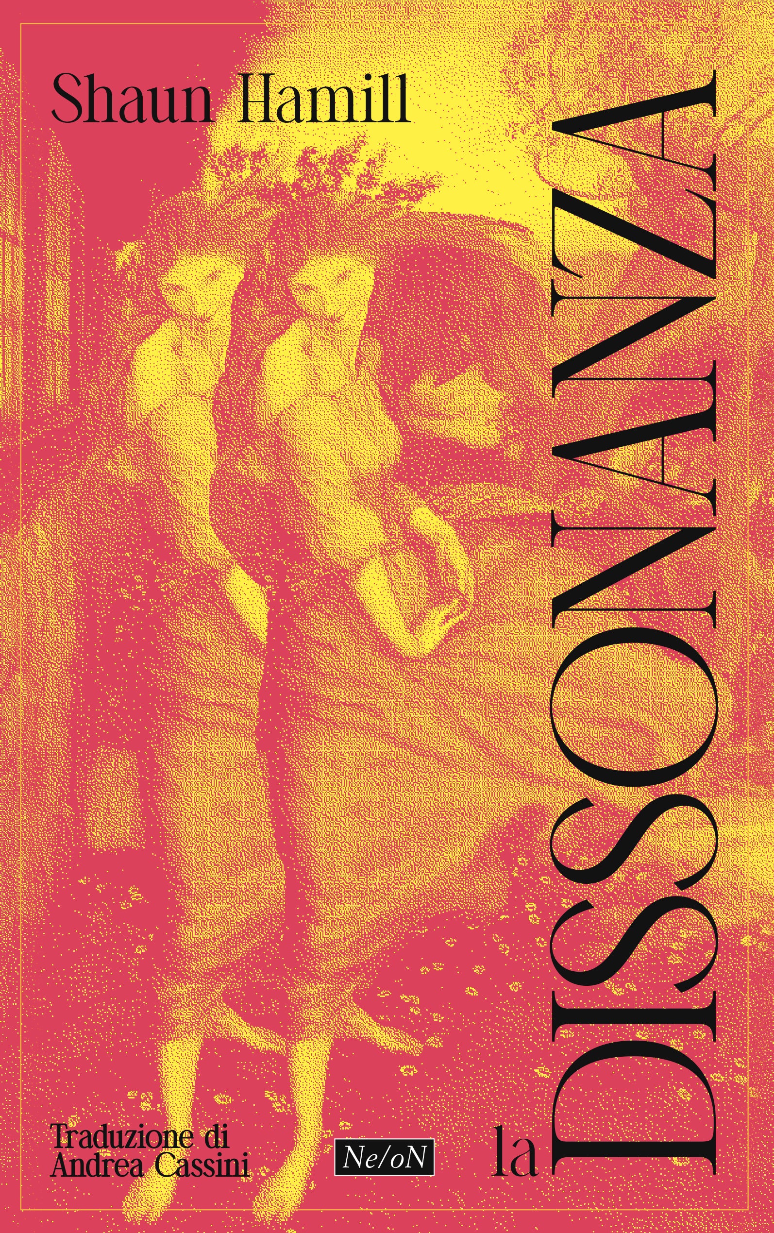 Copertina del libro DISSONANZA